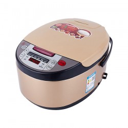 Cuiseur De riz