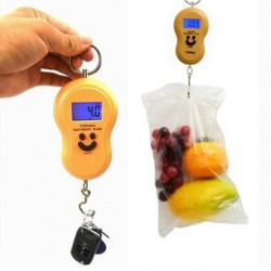 Balance numérique portable